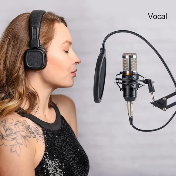 ZINGYOU Condenser Microphone Bundle - Picture 6 of 10